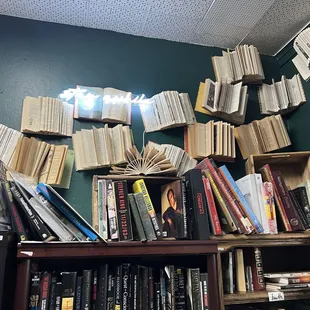 Loved this little nook full of books.