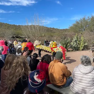 Lions for the new year