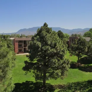 West Courtyard with Sandia Mountains in background