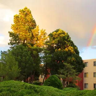 Rainbow over East Courtyard during summer monsoon