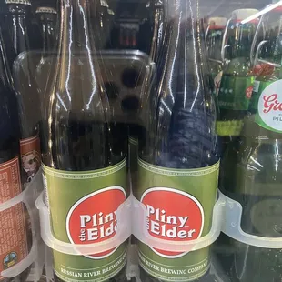 They have Pliny!