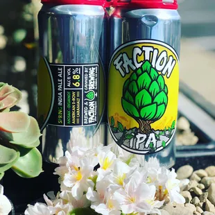 Spring IPA by @factionbrewing