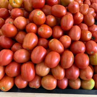 Roma tomato's 50 cents lb