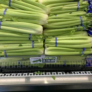 Celery 50 cents