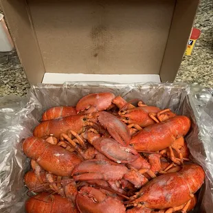 10 lbs of lobster tonight's dinner!