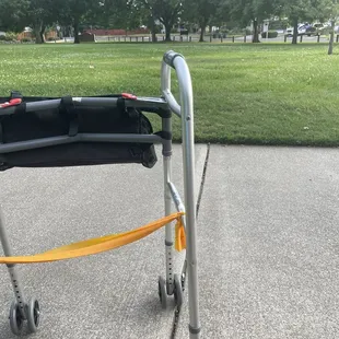 My walker with the green grass in the background.