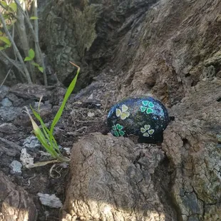 Spreading some early St Patricks day cheer,  come find us #rocksforryan