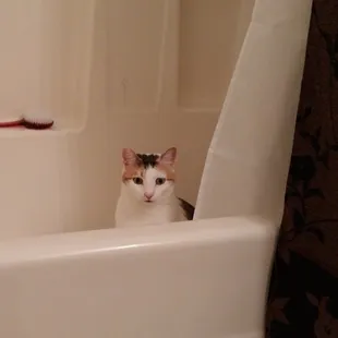 Patty, hey mom look at me!