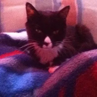 R.I.P. Wackus Kelley.