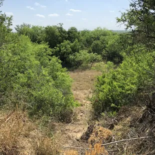 UYE National Trails Day Sat 02Jun 28