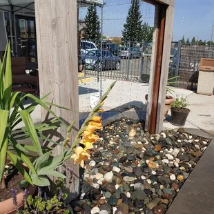 Rain and plants on the patio