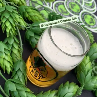 a pint of beer next to some hops