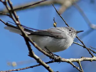 Bayou Sauvage National Wildlife Refuge