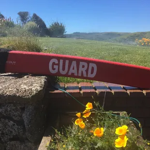 Missjeanswimming also offers Lifeguarding services for Marin County. The only local lifeguard services.