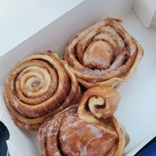 Cinnamon roll deliciousness