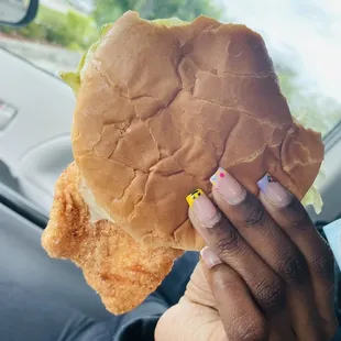 Large Famous Mister Fish Sandwich 09/21