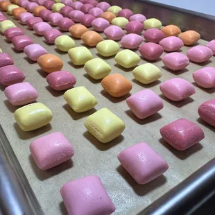 Starbuster Mini's fresh out of the freeze dryer!