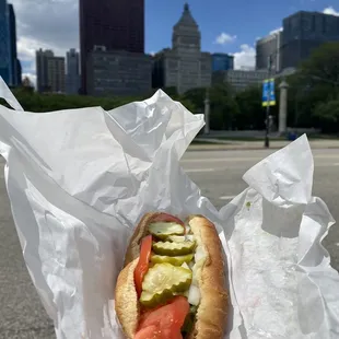 a hot dog with pickles and tomatoes