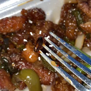 Mister Lu Chinese Restaurant