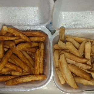 Seasoned and regular fries