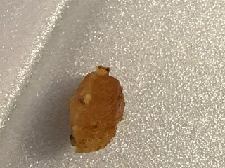 Crazy tacos Fayetteville  Food Truck