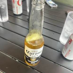 oysters and mussels, drink