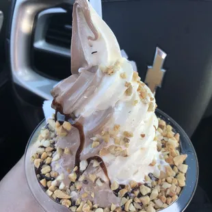 Hot fudge sundae with chopped nuts