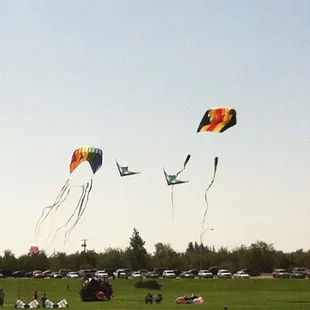Team Too Much Fun Kite Synchronization 9/1/12