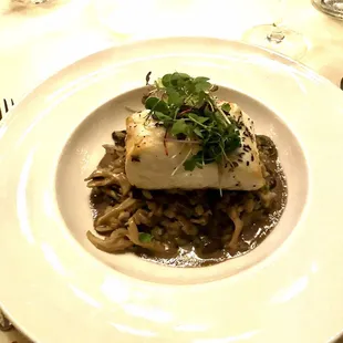 Pan roasted Halibut with an alternate wild mushroom risotto....amazing,