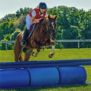 Cross Country Jumping