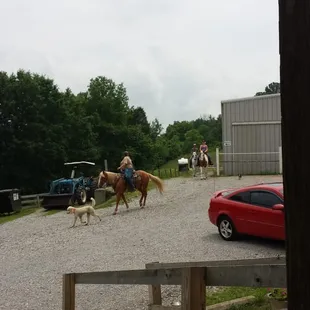 Off on another trail ride.