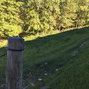 One of the pony turnout fields