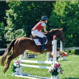 Turner Show jumping