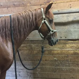 Reba tied in the aisle