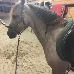 Reese looking very fancy in his braid
