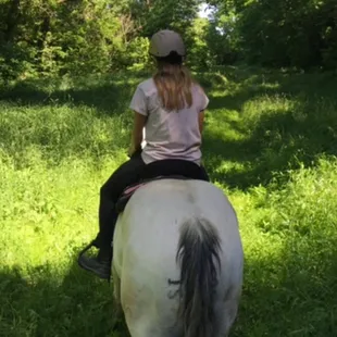 Ace leading a trail ride!