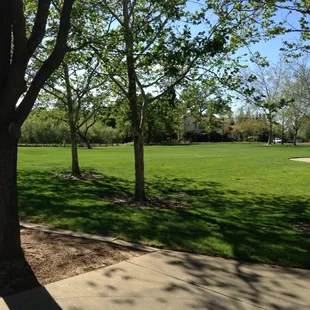 Nice big open grassy area