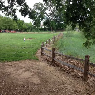 Towards back of the park