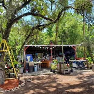 an outdoor market in the woods
