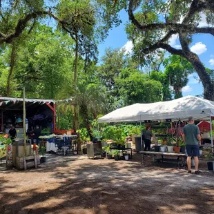 a couple of people standing under a tent