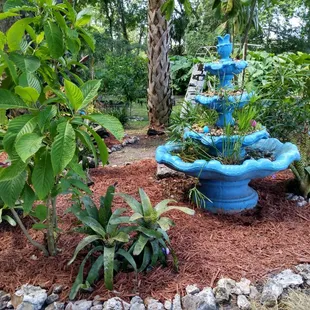 a fountain in a garden