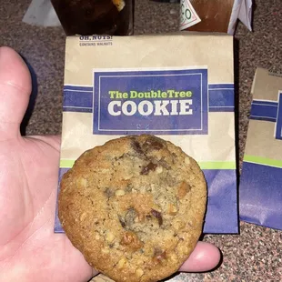 a hand holding a chocolate chip cookie