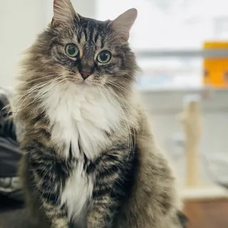 Katie M.