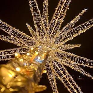 Annual Holiday Lights Display December 2023