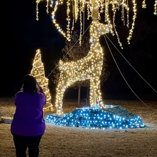 Annual Holiday Lights Display December 2023