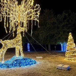 Annual Holiday Lights display; December 2022
