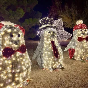 Annual Holiday Lights Display December 2023