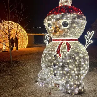 Annual Holiday Lights Display December 2023