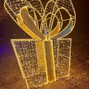 Annual Holiday Lights Display December 2023