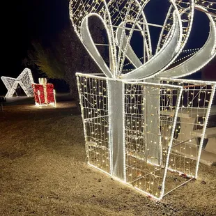 Annual Holiday Lights Display December 2023
